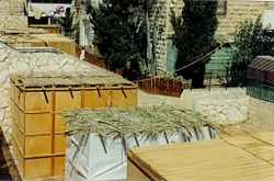 Sukkahs with different types of walls and roofing.