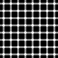 An example of the scintillating grid illusion. Dark dots seem to appear and disappear at intersections.