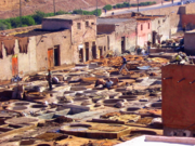 Tanneries of Marrakech