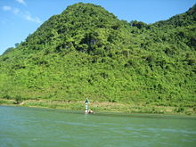 Trees on the limestone mounts, a typical florae in Phong Nha-Ke Bang National Park