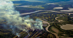 Fires in the Pantanal