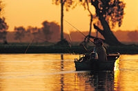 Yellow Water billabong Fishing