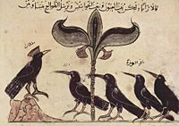 A page from the Arabic version of Kalila wa dimna dated 1210 C.E. illustrating the King of the Crows conferring with his political advisors