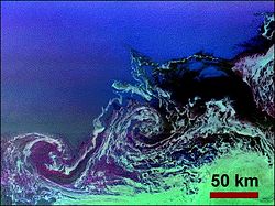 Eddies in Weddell Sea near Antarctica
