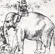 Leo X's pet elephant, Hanno