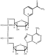 Nicotinamide adenine dinucleotide (NAD+)