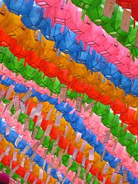 Coloured laterns hanging in a temple in Seoul, South Korea