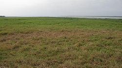 Lake Urema in the dry season (late September)