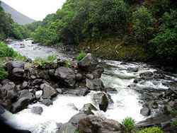 A rocky stream in Hawaii.