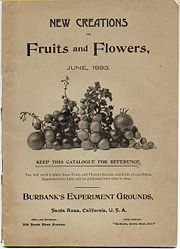 New Creations in Fruits and Flowers cover.