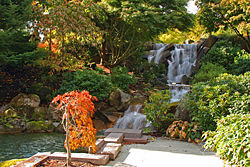 Landscaping at Microsoft's RedWest business campus.
