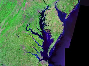 The Chesapeake Bay - NASA Landsat photo