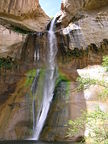 width = 120px