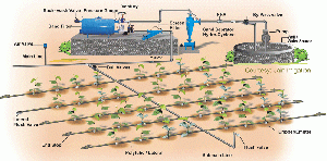 Drip Irrigation Layout and its parts