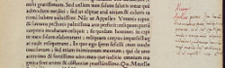 A margin note by Agostino Vespucci from October 1503 in a book in the library of the University of Heidelberg identifies Lisa del Giocondo as the subject of Mona Lisa