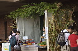 Young Jews welcome students to a sukkah on campus