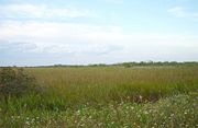 Everglades National Park, Florida