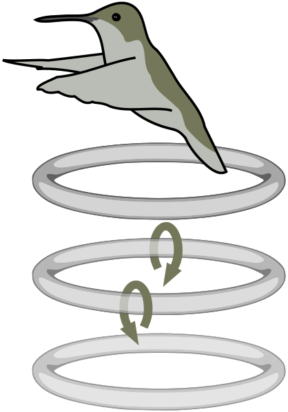 Image:Hummingbird wake Pengo.svg
