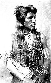 Rabbit-Tail, Shoshone member of Captain Ray's scout company; half-length, seated, with bracelets and ornamented vest.