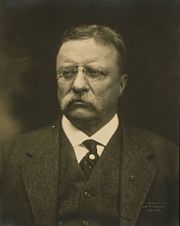 U.S. President Theodore Roosevelt coined the term 'muckraker' in 1906.