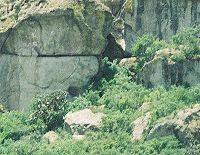Guila Naquitz Cave, site of the oldest known remains of maize.