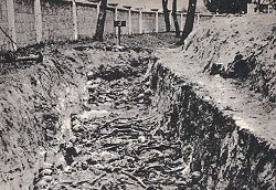 Mass grave of Soviet soldiers, killed by German Nazis in Soviet war prisoners concentration camp in Deblin, German-occupied Poland