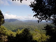 Rainforests are the most biodiverse ecosystems on earth
