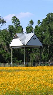 University of Florida bat house