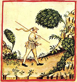 Wind, tacuinum sanitatis casanatensis (fourteenth century).