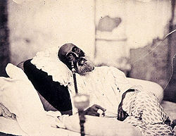 A photo of Bahadur Shah II in 1858, possibly the only picture ever taken of a Timurid king.