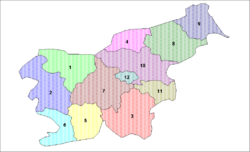 Slovenia's 12 statistical regions.