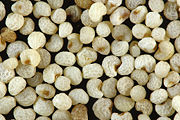 Close up of white poppy seeds