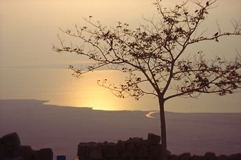 Dead Sea in the morning, seen from Masada.