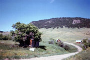 The Black Hills are marked by beautiful settings of adjacent prairie and mountains.