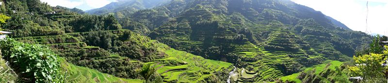Panoramic view of the Banaue Rice Terraces