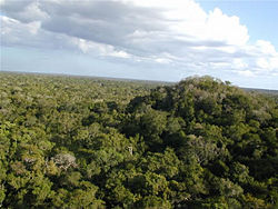 "El Tigre Complex,"in El Mirador.