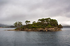 Island of the Dead