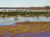 Mamukala in Kakadu National Park