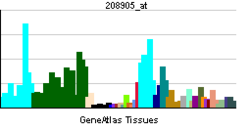 PBB GE CYCS 208905 at tn.png