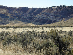 The distinctive banding of the Morrison Formation, a group of rock layers that occur throughout Dinosaur National Monument and the source of fossils like those found at the Dinosaur Quarry.