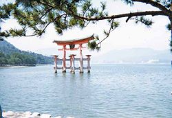 Torii at Itsukushima Shrine