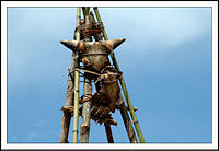 The heads of sacrificed animals hanging over the grave(Biyu) of an Apatani man in Ziro. Apatani sacrifice animals and perform special rites on death of near ones.