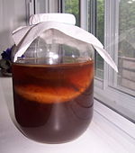 A Kombucha culture fermenting in a jar.