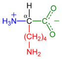 Lysine-zwitterion-2D.png