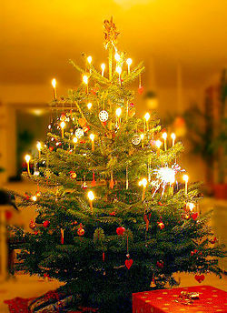 A Christmas tree in a Danish home.