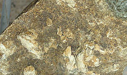 A sample of hydroxylapatite.