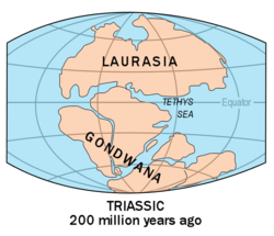 gondwana laurasia pangaea broke masses two apart continental formed convergence multiple including later early version
