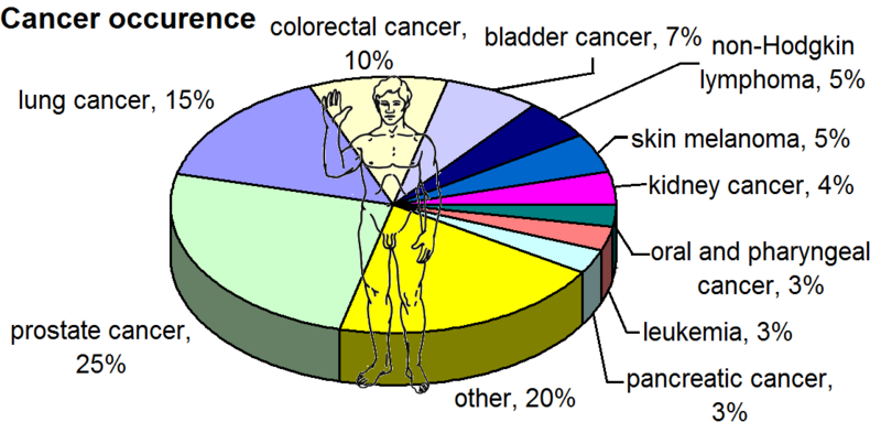 800px Most Common Cancers   Male%2C By Occurence 